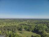 586 Holloway Hollow - Photo 47