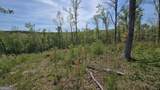 0 Sand Hill Road - Photo 19