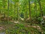 100 AC Mockingbird Lane - Photo 10