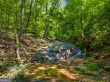 100 AC Mockingbird Lane - Photo 3