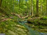 100 AC Mockingbird Lane - Photo 4