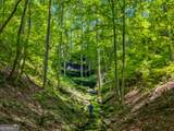 100 AC Mockingbird Lane - Photo 7