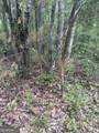 11380 Nashville Enigma Road - Photo 27