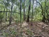 11380 Nashville Enigma Road - Photo 40