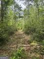 11380 Nashville Enigma Road - Photo 42