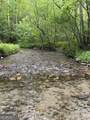 0 Fern Cove Road - Photo 35