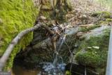 0 Poplar Hollow Road - Photo 10
