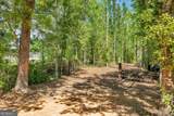 0 Twin Oaks Road - Photo 6