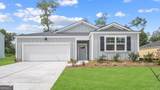 311 Royal Fern Lane - Photo 1