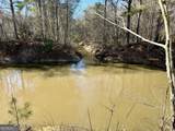 0 Jenkins Farm Road - Photo 13