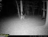 0 Jenkins Farm Road - Photo 17