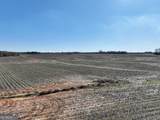 0 Jenkins Farm Road - Photo 23