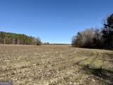0 Jenkins Farm Road - Photo 38