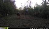 0 Jenkins Farm Road - Photo 43