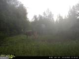 0 Jenkins Farm Road - Photo 44