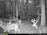 0 Jenkins Farm Road - Photo 45