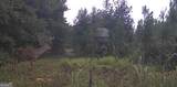 0 Jenkins Farm Road - Photo 46