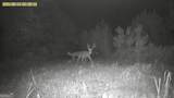 0 Jenkins Farm Road - Photo 47
