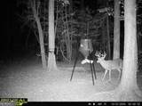 0 Jenkins Farm Road - Photo 9