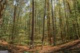 0 Hancock Mountain Trail - Photo 11