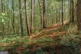 0 Hancock Mountain Trail - Photo 12