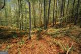 0 Hancock Mountain Trail - Photo 17