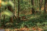 0 Hancock Mountain Trail - Photo 19