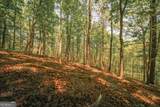0 Hancock Mountain Trail - Photo 2