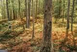 0 Hancock Mountain Trail - Photo 21