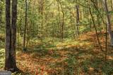 0 Hancock Mountain Trail - Photo 22