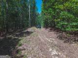 0 Hancock Mountain Trail - Photo 29