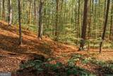 0 Hancock Mountain Trail - Photo 8