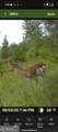 3841 Wilson Road - Photo 20