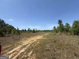 3841 Wilson Road - Photo 36