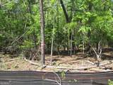0 Morrison Moore Parkway - Photo 10