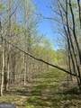 0 Happy Hill - Photo 7