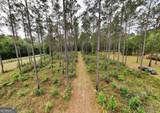 2650 Hadley Ferry Road - Photo 74