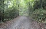 0 Ducks Nest Road - Photo 4