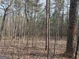 49.85AC Johnson Cemetery - Photo 13