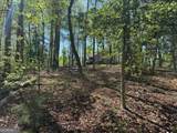 0 Windfield Circle - Photo 6