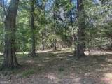 0 Burtons Ferry Highway - Photo 1