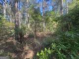 0 Burtons Ferry Highway - Photo 10