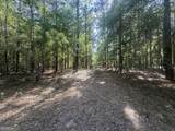 0 Burtons Ferry Highway - Photo 12