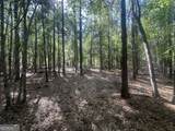 0 Burtons Ferry Highway - Photo 13