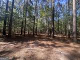 0 Burtons Ferry Highway - Photo 14