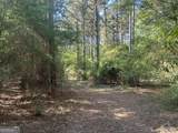 0 Burtons Ferry Highway - Photo 15