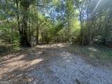 0 Burtons Ferry Highway - Photo 19