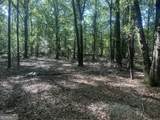 0 Burtons Ferry Highway - Photo 2