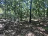 0 Burtons Ferry Highway - Photo 3