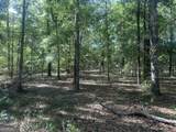 0 Burtons Ferry Highway - Photo 4
